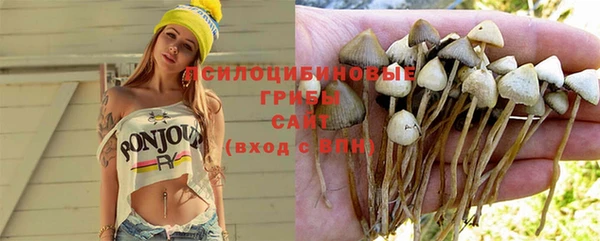 ALPHA-PVP Богородск