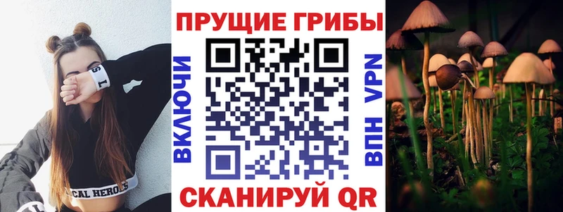 Галлюциногенные грибы Psilocybe  купить наркотик  Котельниково 